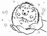 Hedgehog Pages Colouring Coloring Baby Sheets Hedgehogs Line Color Preschool Kawaii Drawing Smiling Sheet Getdrawings sketch template