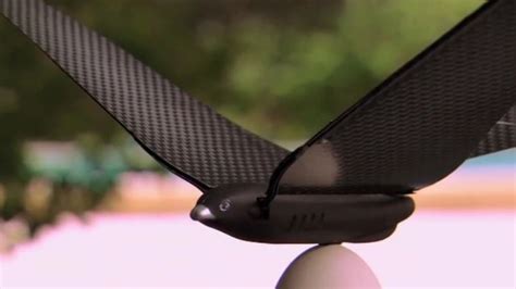 bionic drone bird aims   flight bbc news