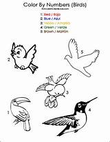 Birds Color Numbers Number sketch template