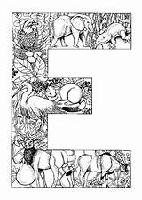 Coloriage Dessin Colorier Hugolescargot Mandala Imprimer Sur sketch template