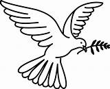 Peace Coloring Dove Getdrawings sketch template