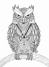 Eule Erwachsene Eulen Owl Malvorlage Vogel Vögel sketch template