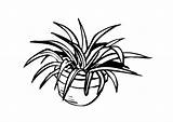 Coloring Plant Houseplant House Drawing Large Getdrawings sketch template