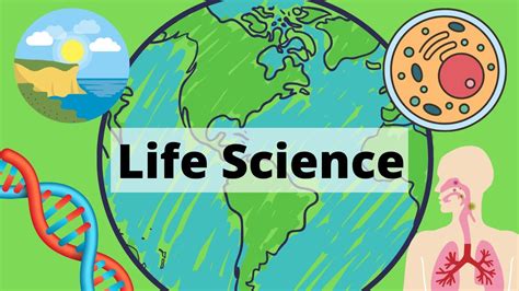 year  life science   minutes youtube