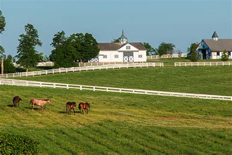 albracht equine insurance horse farm ranch
