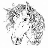 Unicorn Head Drawing Line Drawings Vector Paintingvalley Cdr 3axis sketch template