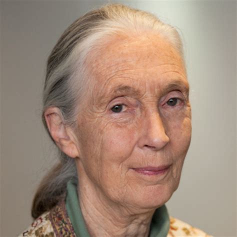 jane goodall life education facts biography