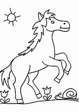 Pferd Pferde Ausmalen Malvorlage Pferdebilder Schnee Bibi Ponys Ausmalbild Fohlen Kinderbilder Kostenlose Pferden Cheval Coloriages Basteln Pferdekopf Pferdebild Pony Zeichnen sketch template
