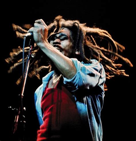 Bob Marley Dreadlocks Get An Iconic Hairstyle Arte