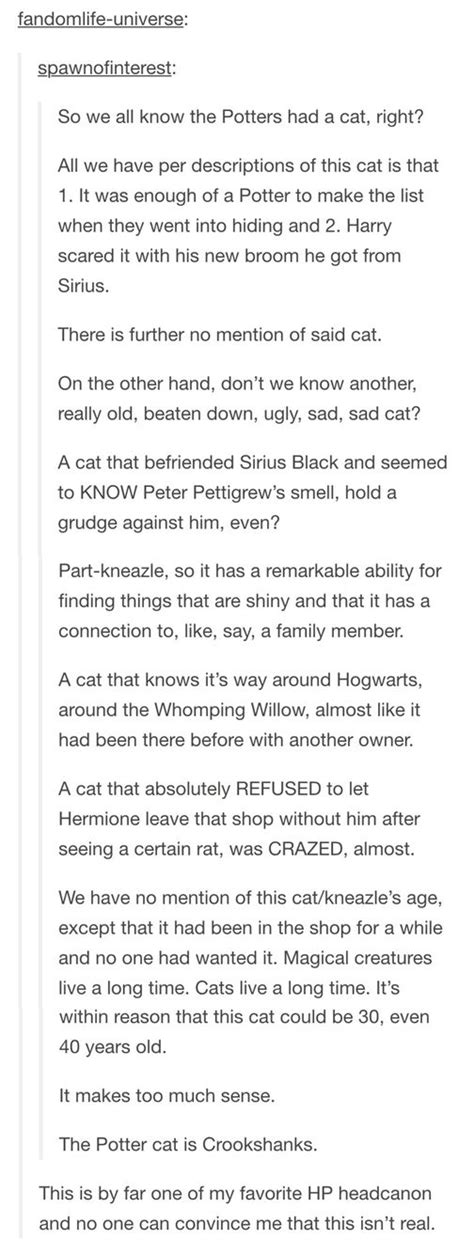 Holy Cow I Love This The Potter S Cat Is Crookshanks