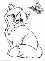 Imprimer Chat Coloring Pages Cat Animal Kittens Choose Board Print Animals Printable sketch template
