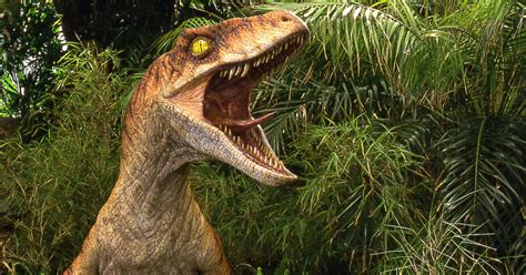 Jurassic Park Iii Raptor Running Rehearsal Stan Winston