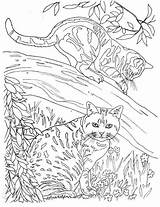 Coloring Cat sketch template