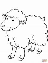 Colorare Pecora Ovelha Pecore Disegni Coloring Ovejas Sheep Gregge Oveja Ovelhas Mensajes sketch template