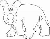 Beruang Kutub Mewarnai Sketsa Diwarnai sketch template