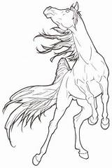 Rearing Pferde Pferd Steigendes Cheval Arabian Deviantart Pencil Ausmalen Skizze Lineart Zeichnen Unicorn Buggy Pferdekopf Ausmalbild Malvorlage Geniales Pferdezeichnungen Zum sketch template