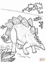 Coloring Dinosaur Pages Stegosaurus Printable Jurassic Kids Colouring Armored Color Park Dinosaurs Book Sheets Dino Print Activity Birthday Activities Adult sketch template