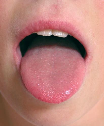 sense organ tongue