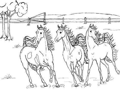 coloring page  wild horses printable coloring sheet anbu coloring