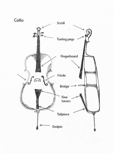 parts   cello  tracie noles ross cello pinterest cello worksheets   class