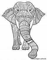 Erwachsene Elefant Ausmalbilder Malvorlagen sketch template