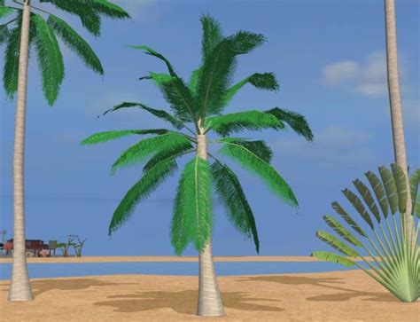 sims  leaning palm tree simcredibles coastal plants  palm tree