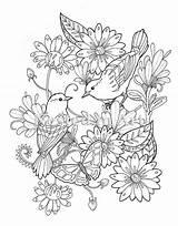 Coloring Birds Adult Butterfly Pages Floral Flowers Bird Flower Printable Colouring Spring Etsy Sheets State Book источник Sold sketch template