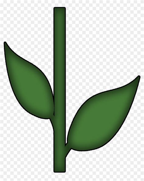 flower stem  leaf  transparent png clipart images