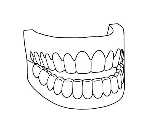 inspiration image  tooth coloring pages tooth coloring pages