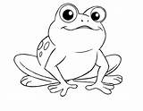 Frogs Amphibian 101activity sketch template