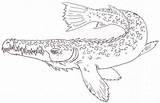 Gar Alligator Coloring Pages Template sketch template