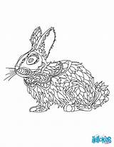 Coloring Rabbit Pages Mandala Colouring Cute Adult Choose Board Hellokids sketch template