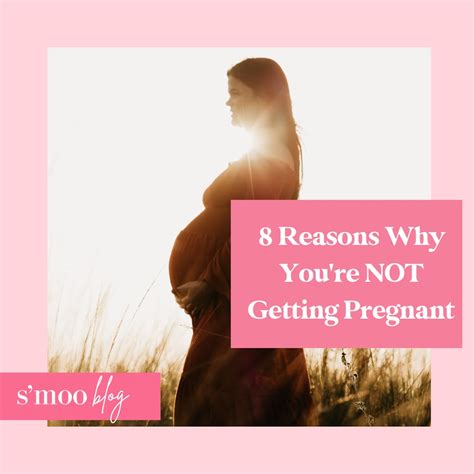 8 Reasons Why Youre Not Getting Pregnant – The Smoo Co