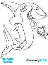Shark Pages Coloring Basking Getcolorings Print sketch template