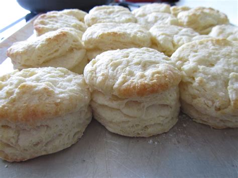 fluffy breakfast biscuits homemade biscuits recipe homemade biscuits