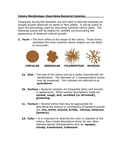 colony morphology   identify  subtleties  bacteria based  physical