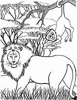 Kids Coloring Fun Leeuw Lions sketch template