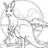 Kangaroo Designlooter Academy Archives sketch template
