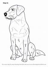 Labrador Tutorials Improvements sketch template