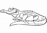 Krokodil Crocodile Krokodyl Krokodile Reptiles Cocodrilo Kolorowanka Supercoloring Crocodiles Alligator sketch template