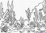 Coral Reef Coloring Draw Pages Pencil Fish Reefs Sea Plants Sketch Template Under sketch template