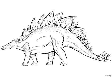 stegosaurus drawing images