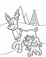 Reindeer Coloring Pages Kids Printable 2160 2683 June Posted Size sketch template