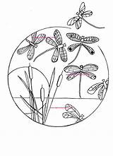 Coloring Dragonfly Pages Adults Adult Dragonflies Drawn Hand Digital sketch template