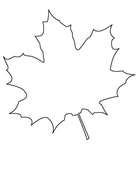 draw maple leaf coloring page kids play color
