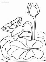 Coloring Water Pages Lilies sketch template