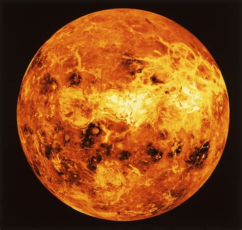 venus may have hosted life researchers say