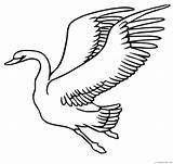 Coloring4free Swan Swans sketch template
