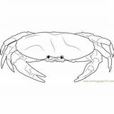 Coloring Crab Crustaceans Pages Blue Coloringpages101 Kids sketch template