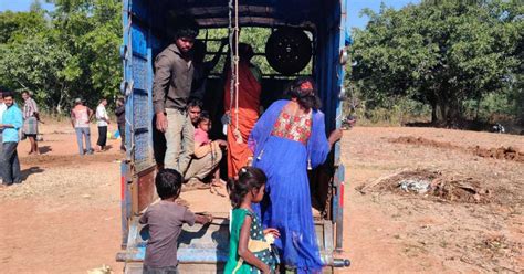 freed from fear rescue operation at three eucalyptus farms